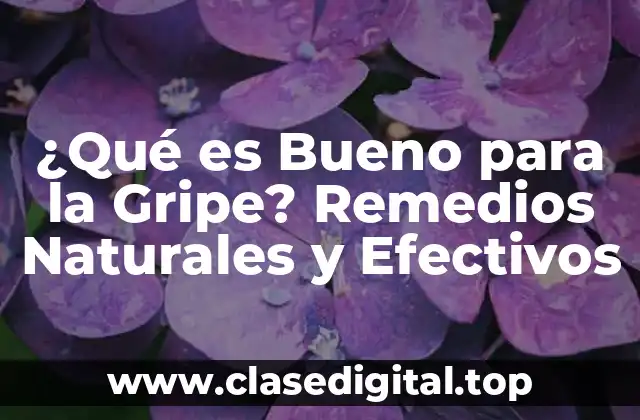 ¿Qué es Bueno para la Gripe? Remedios Naturales y Efectivos