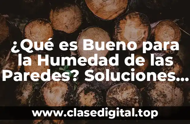 ¿Qué es Bueno para la Humedad de las Paredes? Soluciones Eficientes para un Hogar Saludable