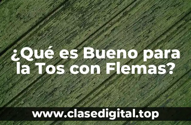 ¿Qué es Bueno para la Tos con Flemas?