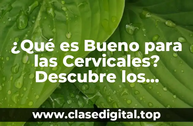 ¿Qué es Bueno para las Cervicales? Descubre los Mejores Remedios Naturales