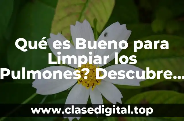 Qué es Bueno para Limpiar los Pulmones? Descubre los Mejores Remedios Naturales