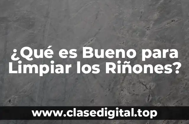 ¿Por qué es Importante la Limpieza de los Riñones?