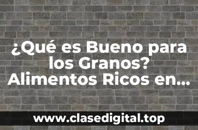 ¿Qué es Bueno para los Granos? Alimentos Ricos en Fibra y Nutrientes