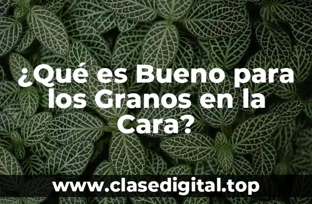 ¿Qué es Bueno para los Granos en la Cara?