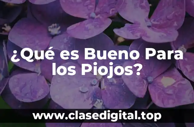 ¿Por Qué los Piojos son un Problema?