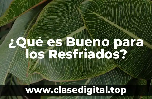 ¿Qué es Bueno para los Resfriados?