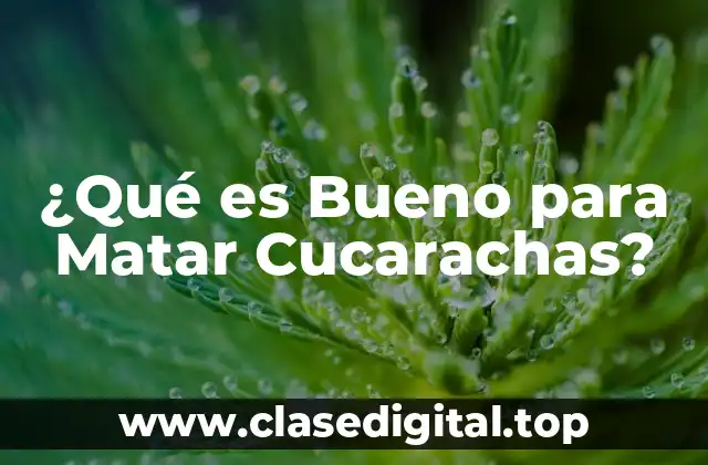 ¿Qué es Bueno para Matar Cucarachas?