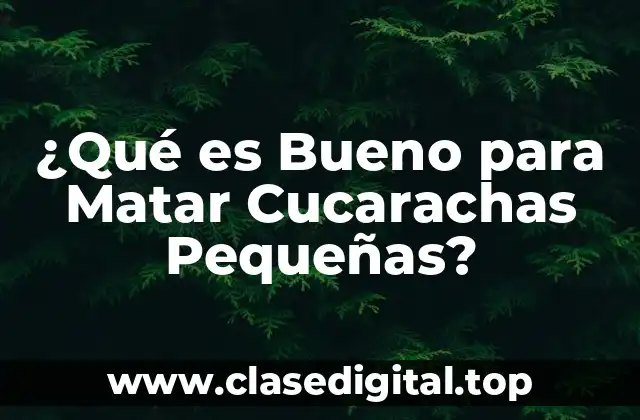¿Qué es Bueno para Matar Cucarachas Pequeñas?