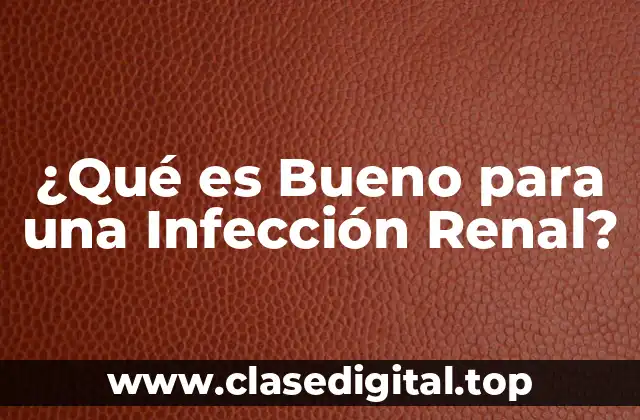 ¿Qué es Bueno para una Infección Renal?