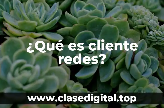 ¿Qué es cliente redes?