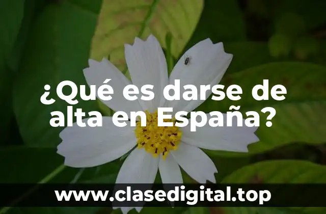 ¿Quiénes deben darse de alta en España?