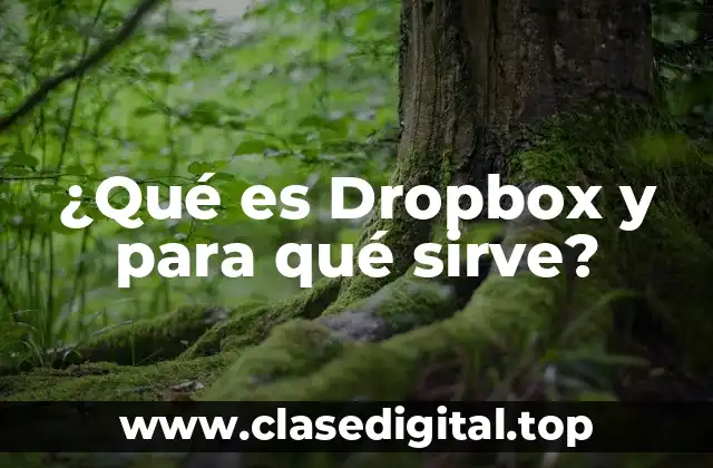 ¿Qué es Dropbox y para qué sirve?