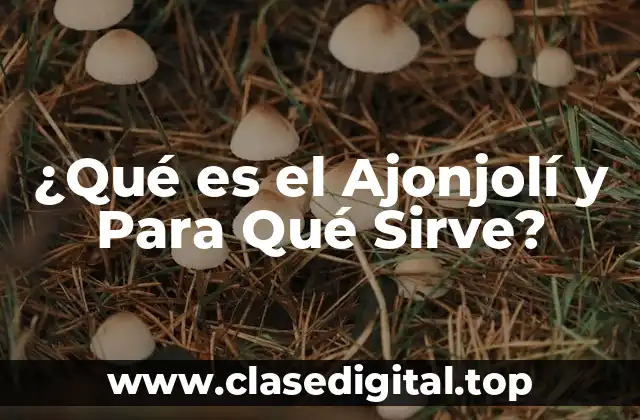 ¿Qué es el Ajonjolí y Para Qué Sirve?