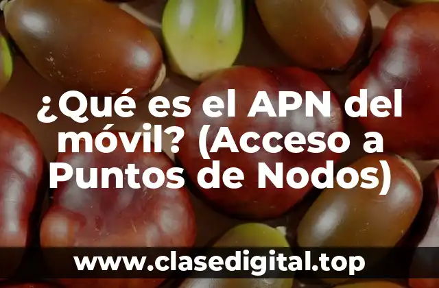 ¿Qué es un APN?