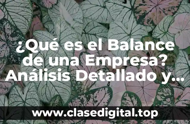 ¿Qué es el Balance de una Empresa? Análisis Detallado y Completo