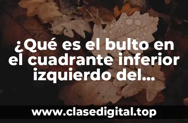 ¿Qué es el bulto en el cuadrante inferior izquierdo del abdomen?