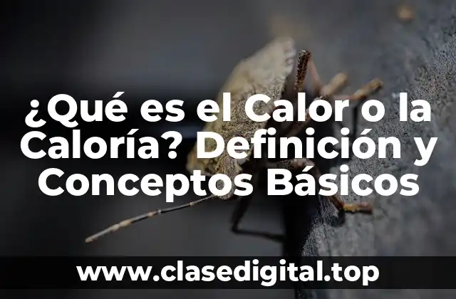¿Qué es el Calor o la Caloría? Definición y Conceptos Básicos