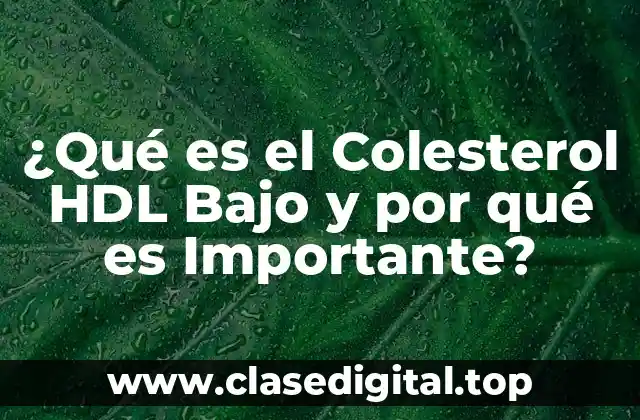 ¿Qué es el Colesterol HDL Bajo y por qué es Importante?