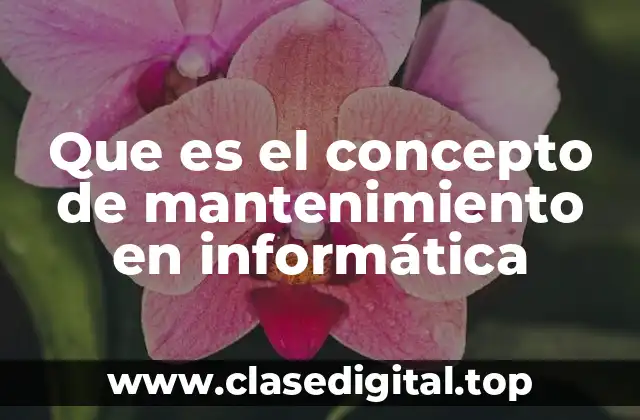 Que es el concepto de mantenimiento en informática