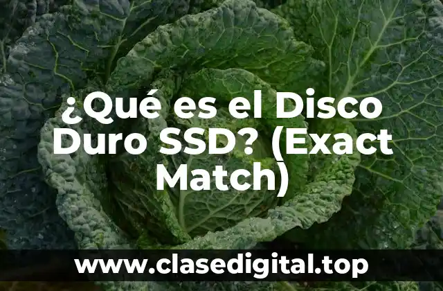 ¿Cómo funcionan los Discos Duros SSD?