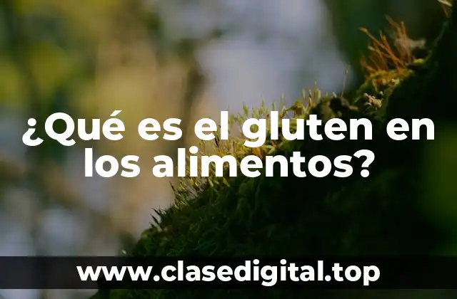 ¿Qué es el gluten en los alimentos?