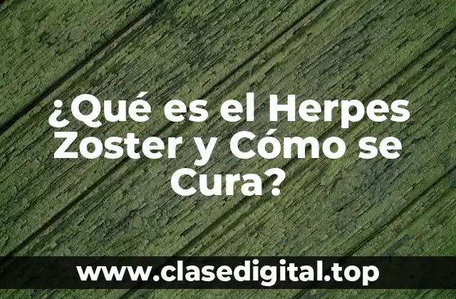 ¿Qué es el Herpes Zoster y Cómo se Cura?