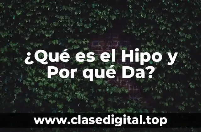 ¿Qué es el Hipo y Por qué Da?