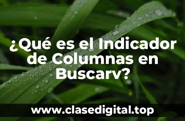 ¿Qué es el Indicador de Columnas en Buscarv?