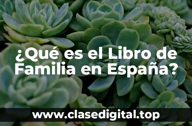 ¿Qué es el Libro de Familia en España?