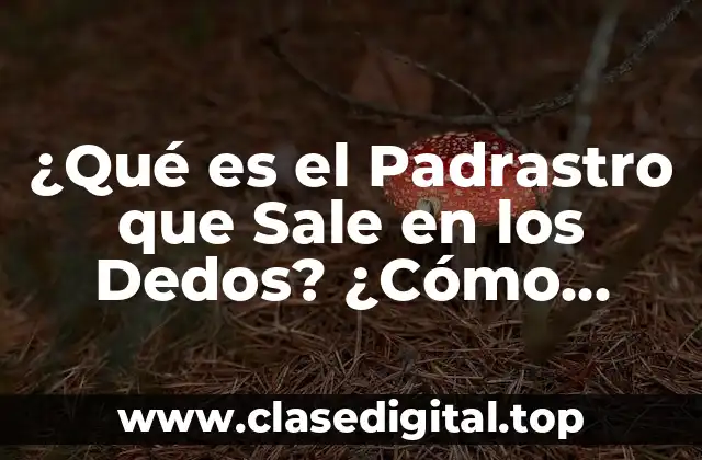 Causas del Padrastro que Sale en los Dedos