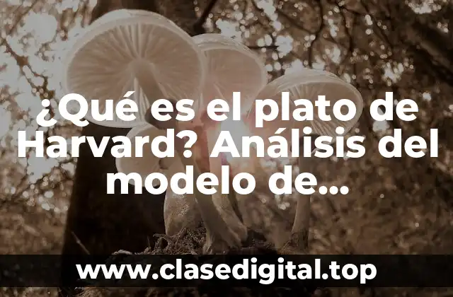 ¿Qué es el plato de Harvard? Análisis del modelo de alimentación ideal