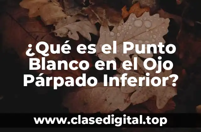 ¿Qué es el Punto Blanco en el Ojo Párpado Inferior?