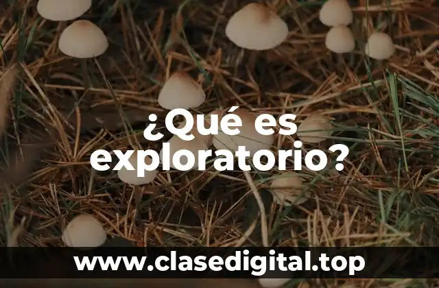 ¿Qué es exploratorio?