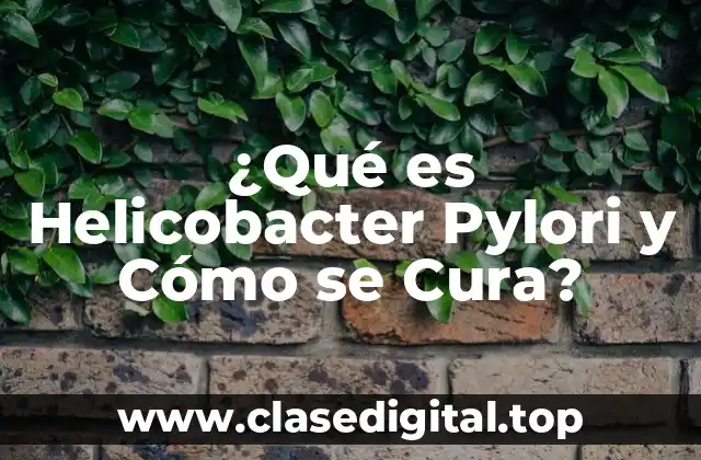 ¿Qué es Helicobacter Pylori y Cómo se Cura?