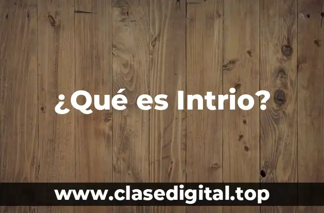 ¿Qué es Intrio?