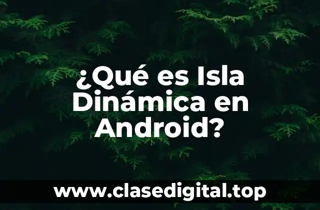 ¿Qué es Isla Dinámica en Android?