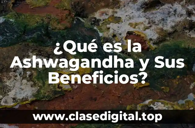 ¿Qué es la Ashwagandha y Sus Beneficios?