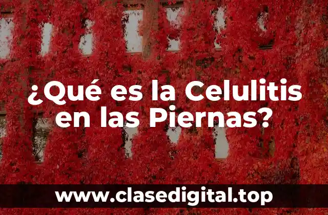 Causas de la Celulitis en las Piernas