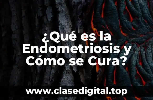 ¿Qué es la Endometriosis y Cómo se Cura?