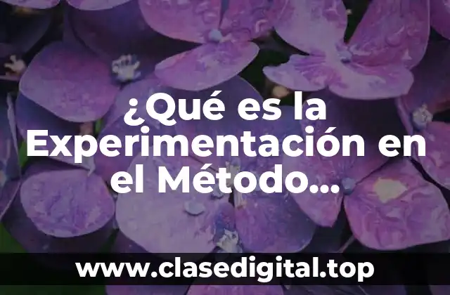 ¿Qué es la Experimentación en el Método Científico?