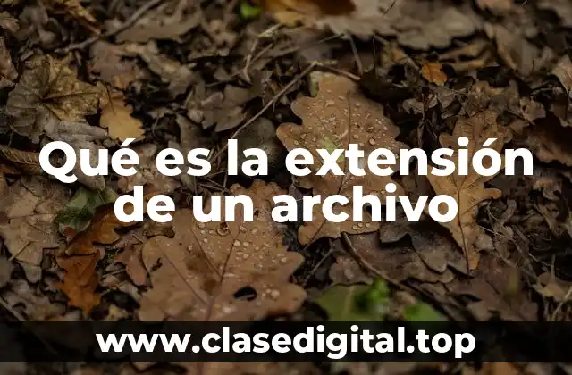Qué es la extensión de un archivo