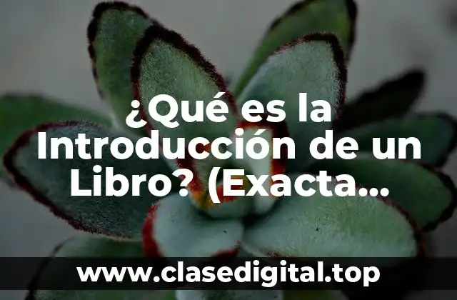 ¿Qué es la Introducción de un Libro? (Exacta Palabra Clave)