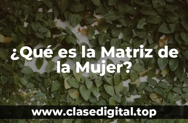 ¿Qué es la Matriz de la Mujer?
