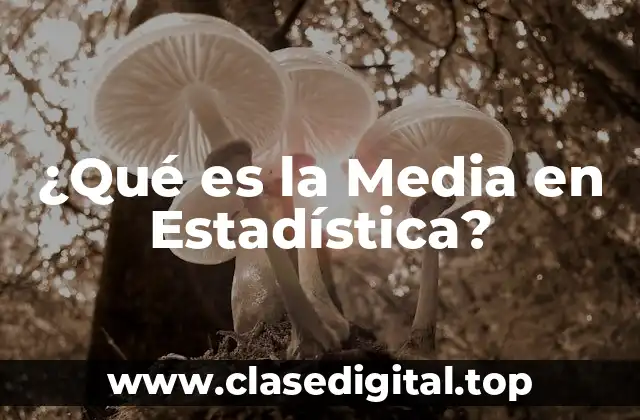¿Qué es la Media en Estadística?