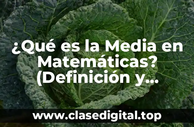 ¿Qué es la Media en Matemáticas? (Definición y Concepto)