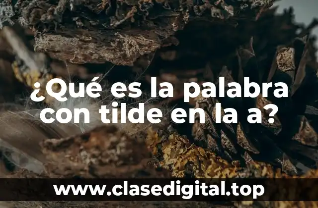 Orígenes y evolución de la palabra con tilde en la a