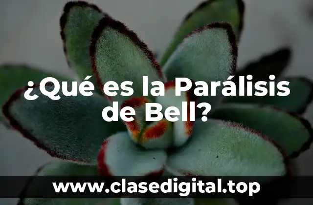 ¿Qué es la Parálisis de Bell?