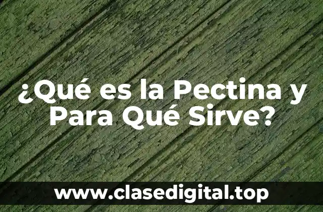¿Qué es la Pectina y Para Qué Sirve?