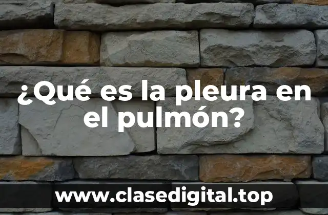 Funciones de la pleura en el pulmón