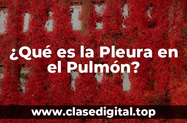 Anatomía de la Pleura